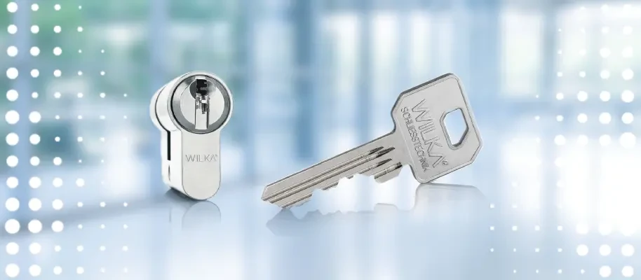 Varnostni vložek / W100